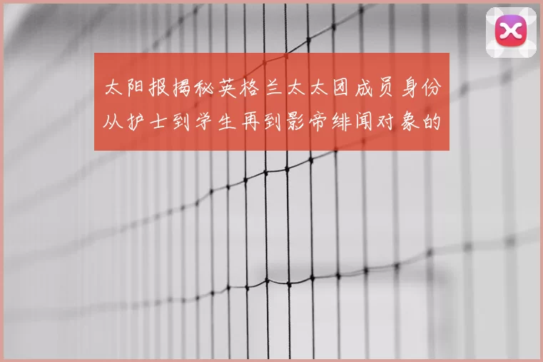 太阳报揭秘英格兰太太团成员身份从护士到学生再到影帝绯闻对象的多样性