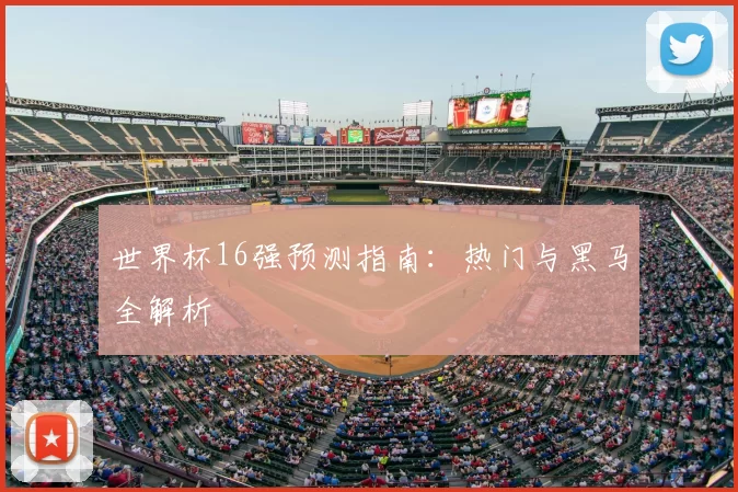 世界杯16强预测指南：热门与黑马全解析