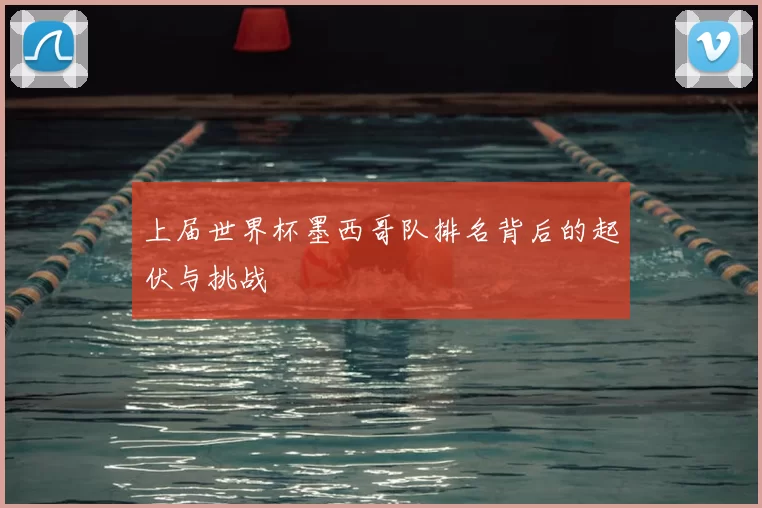 上届世界杯墨西哥队排名背后的起伏与挑战