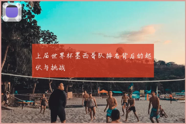 上届世界杯墨西哥队排名背后的起伏与挑战