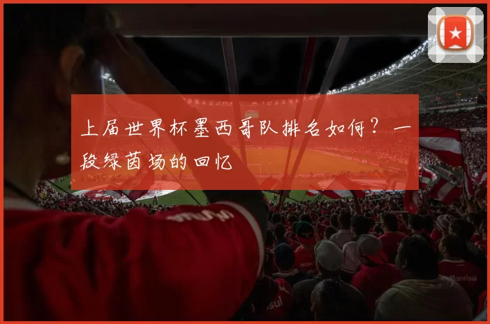 上届世界杯墨西哥队排名如何？一段绿茵场的回忆