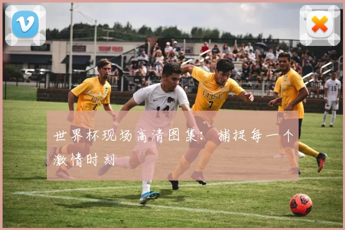 世界杯现场高清图集：捕捉每一个激情时刻