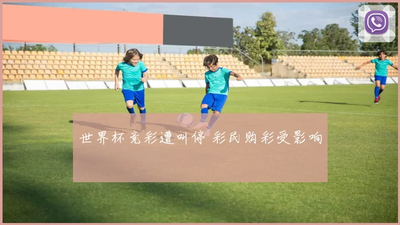世界杯竞彩遭叫停 彩民购彩受影响