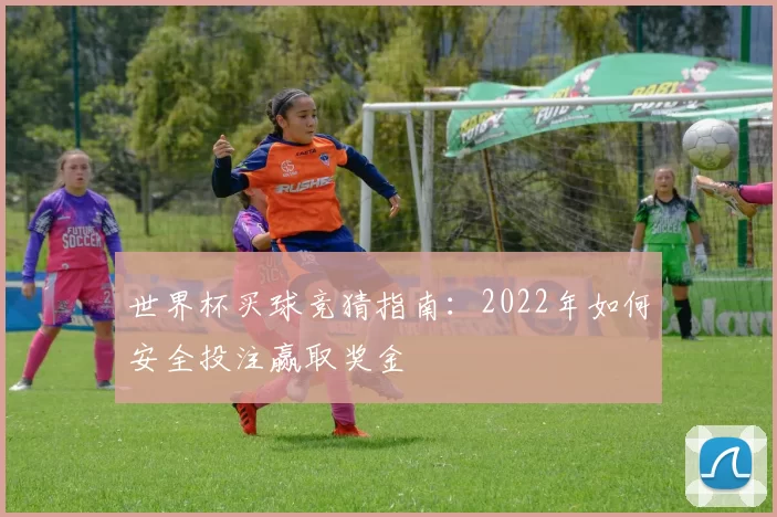 世界杯买球竞猜指南:2022年如何安全投注赢取奖金