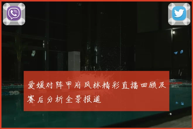 爱媛对阵甲府风林精彩直播回顾及赛后分析全景报道