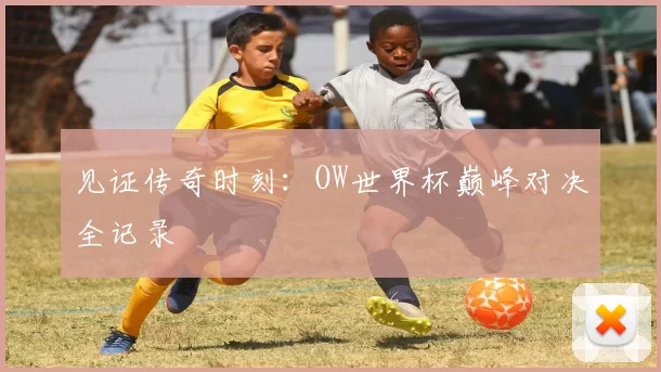 见证传奇时刻:OW世界杯巅峰对决全记录