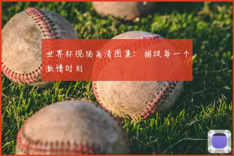 世界杯现场高清图集：捕捉每一个激情时刻