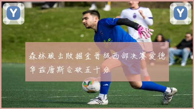 森林狼击败掘金晋级西部决赛爱德华兹唐斯合砍五十分